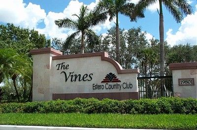The-Vines